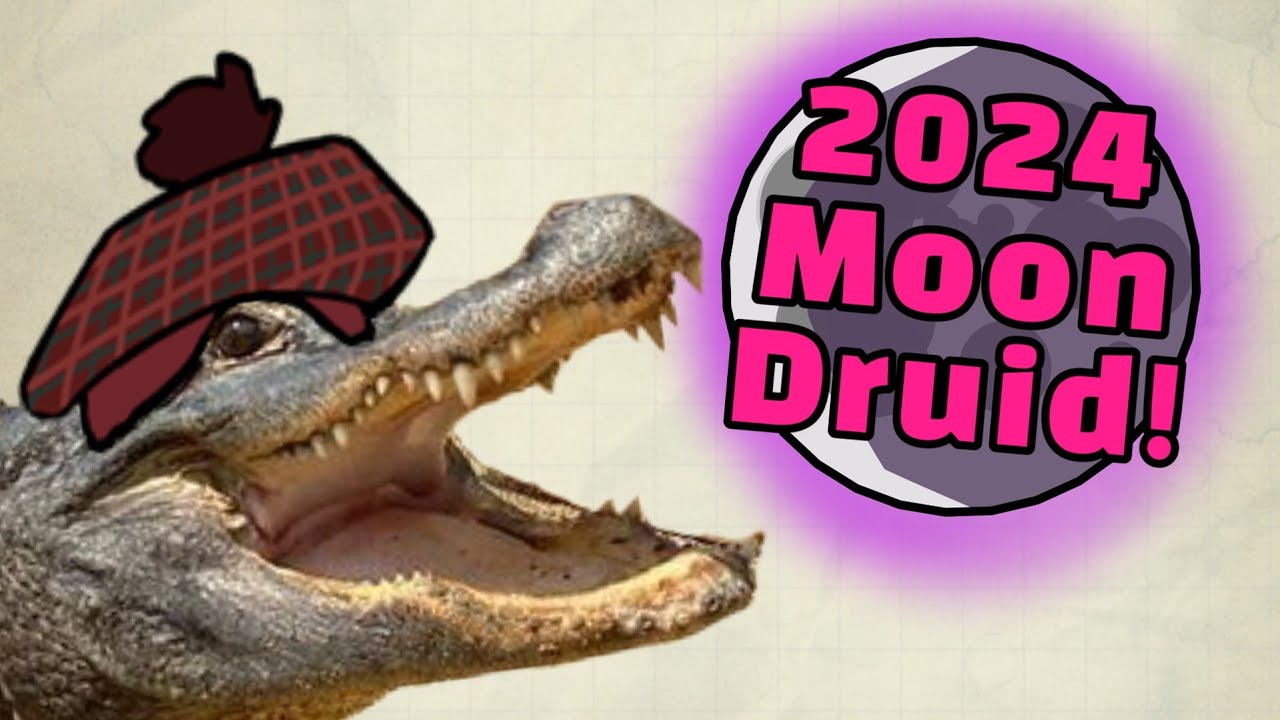 Moon Druid is AMAZING in D&D 2024 Player's Handbook!