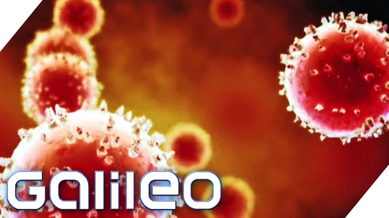 Virenfallen im Alltag | Galileo
