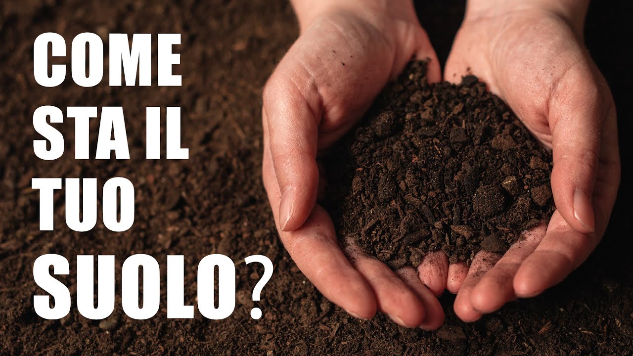 Analisi del Terreno | Consigli e interventi