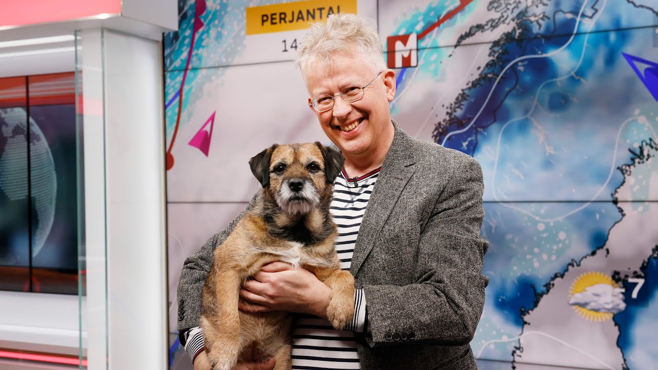 Pekka Poudan Sini-koira on Suomen suosituin sääkoira!