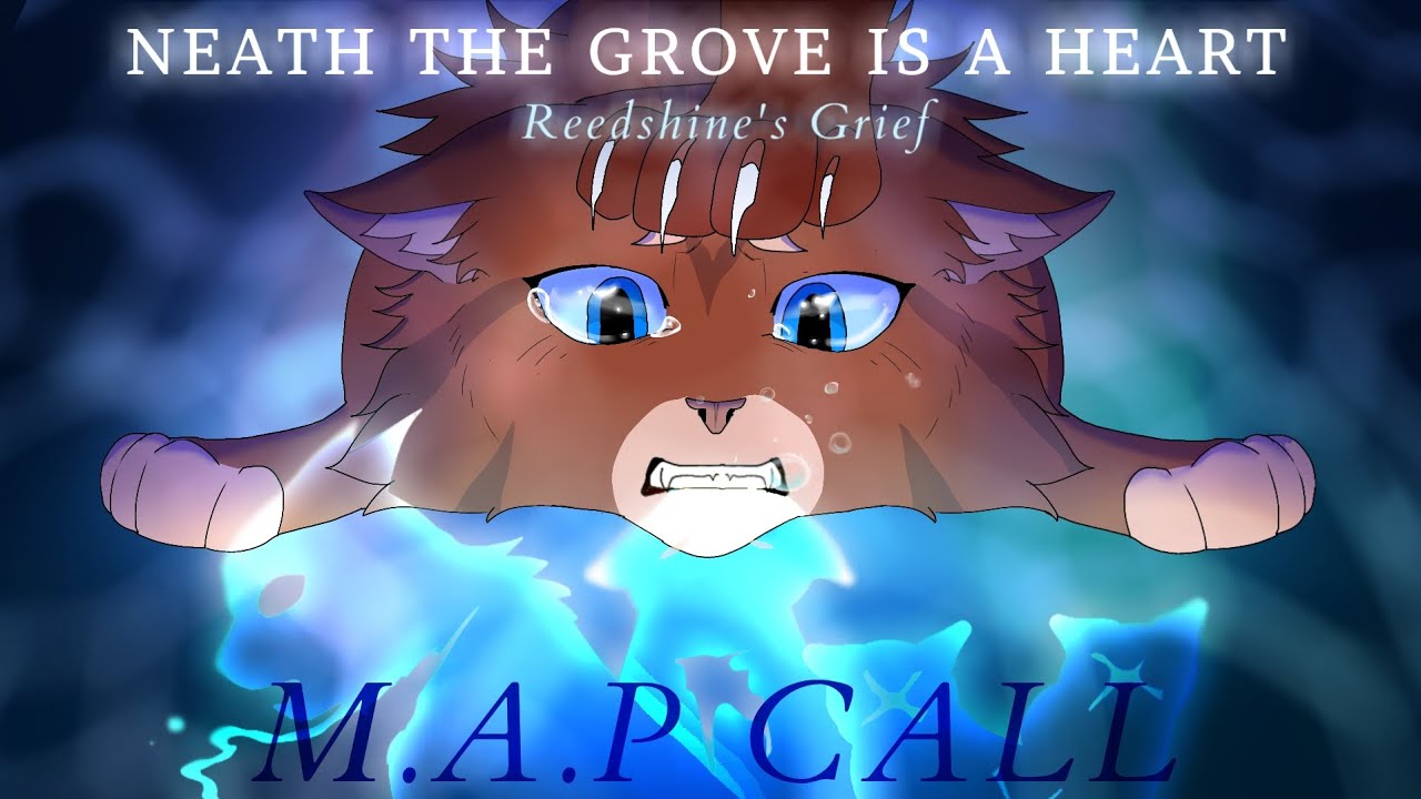 Reedshine's Grief: Warriors M.A.P call (OPEN!)