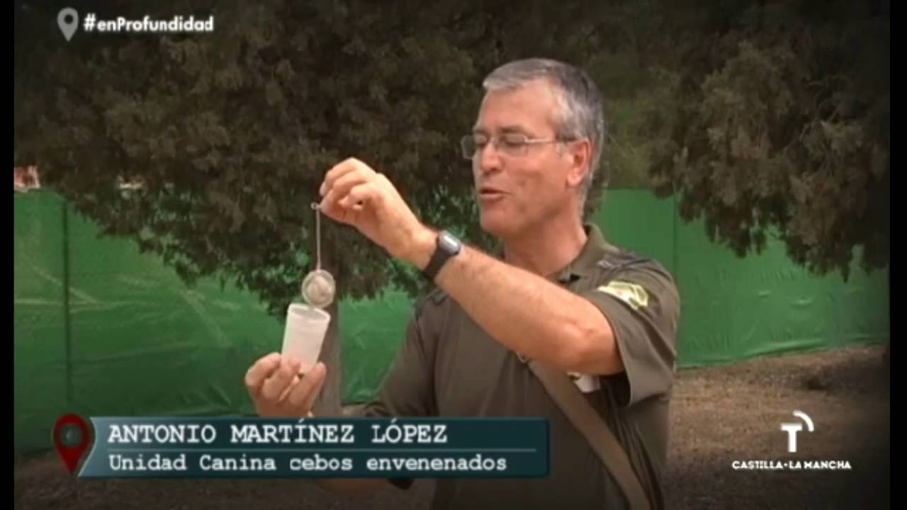 La auténtica Patrulla Canina