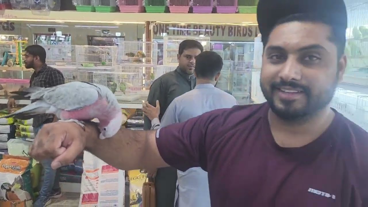 ABU DHABI BIRDS AND PETS MARKET VISIT