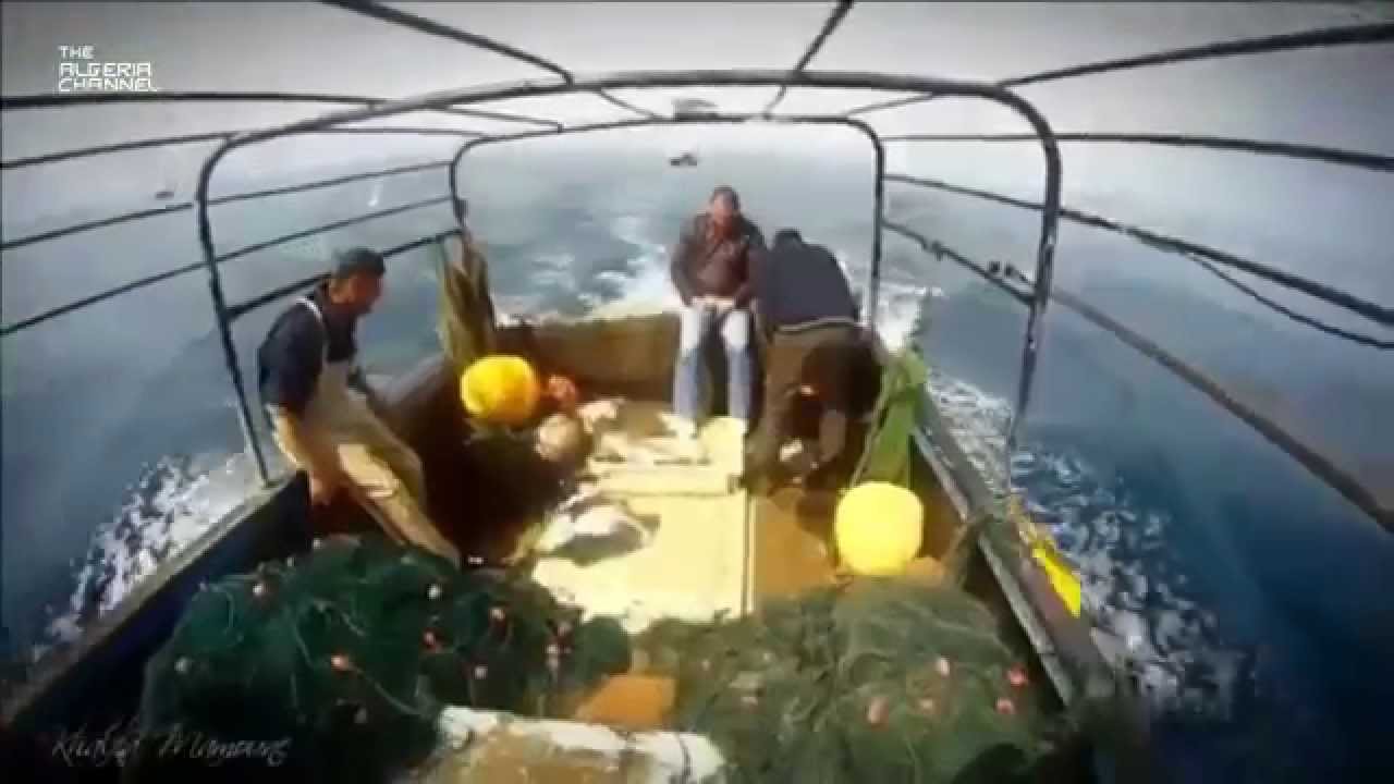 THIS IS ALGERIA