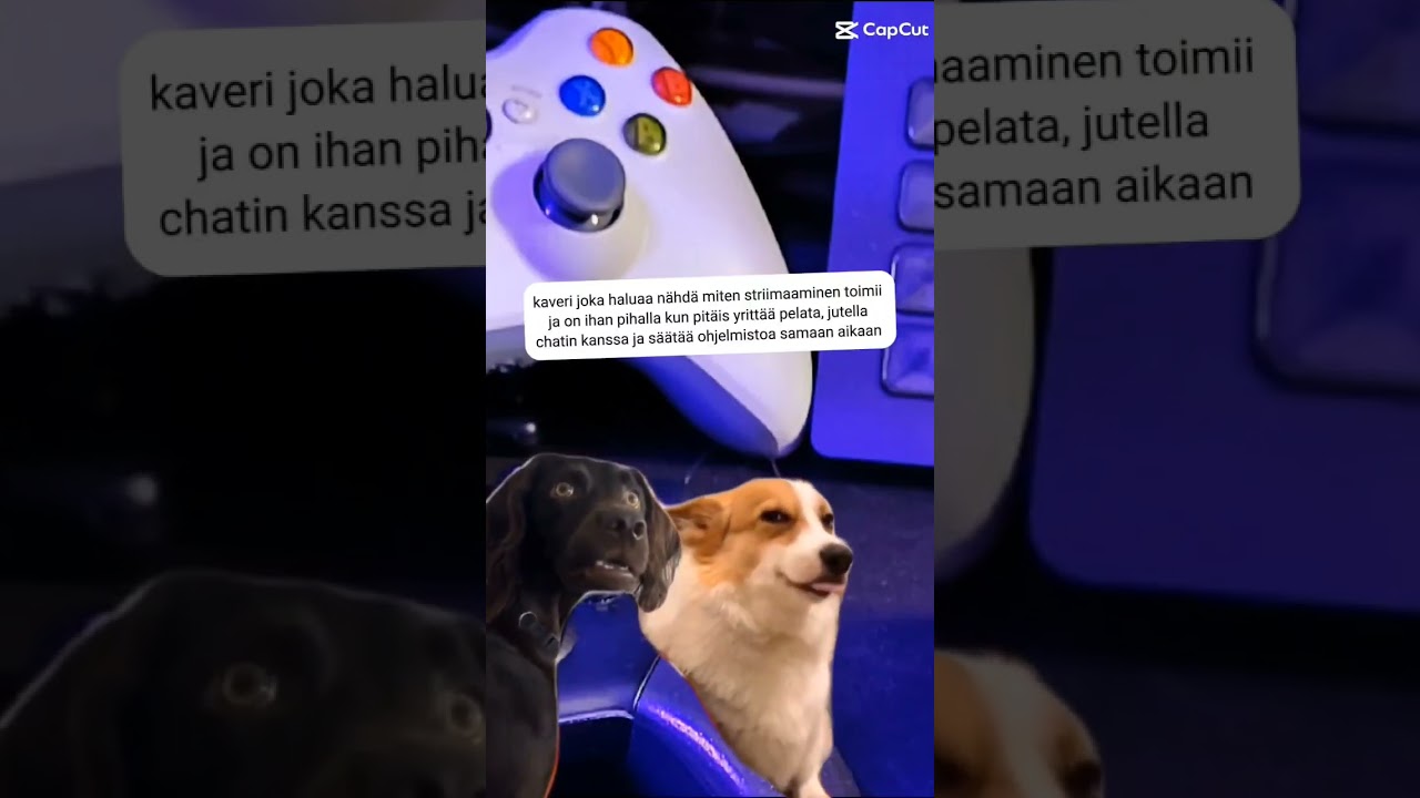 kun n&auml;yt&auml;t kaverilles miten striimaaminen toimii tietokoneella #pc #striimi #meemi #muumi #vitsi