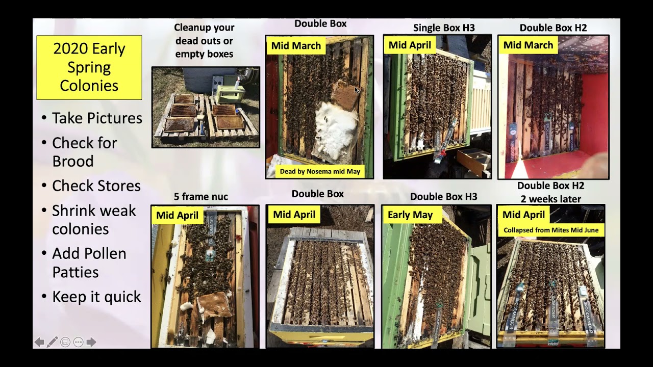 Spring to Spring Colony Management + Winter Prep North of 60