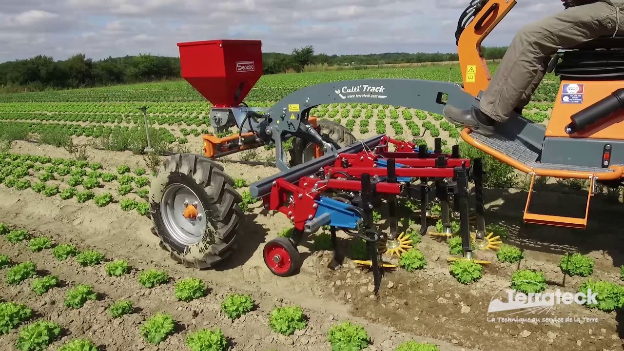 Terrateck - Cultitrack tool carrier on salads cultivator with finger weeder