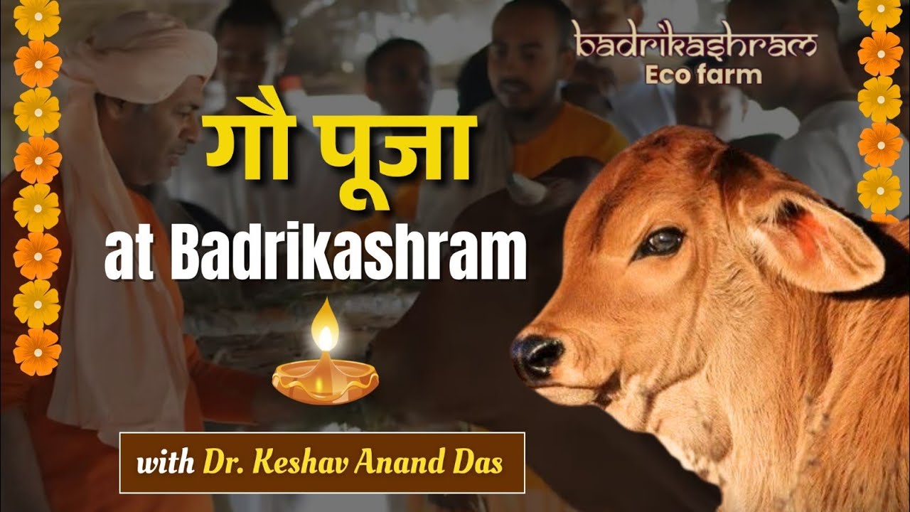 गौ पूजा at Badrikashram with Dr. Keshav Anand Das 