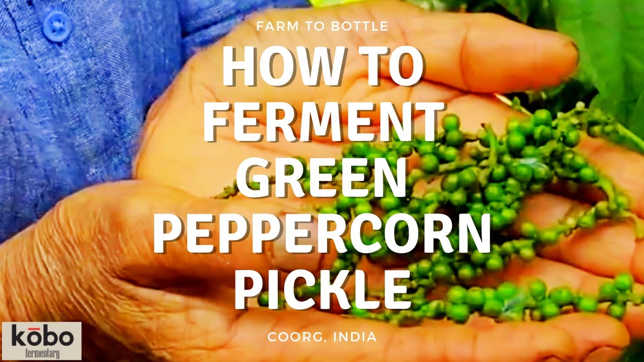 How to ferment | Green Peppercorn Pickle