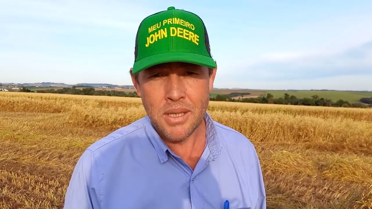 Aveia (colheita) – Saiba um pouco sobre este cereal