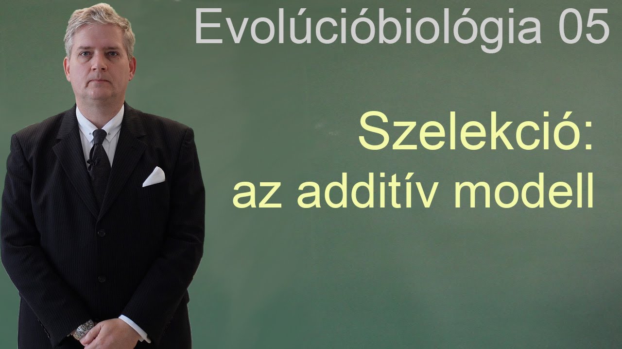 Evolúcióbiológia 05 - Szelekció additív modell