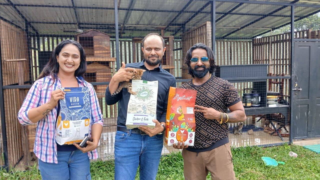 Cat food @AnuJosephvlog  @AsiRockyofficial  #cat #catfoodreview