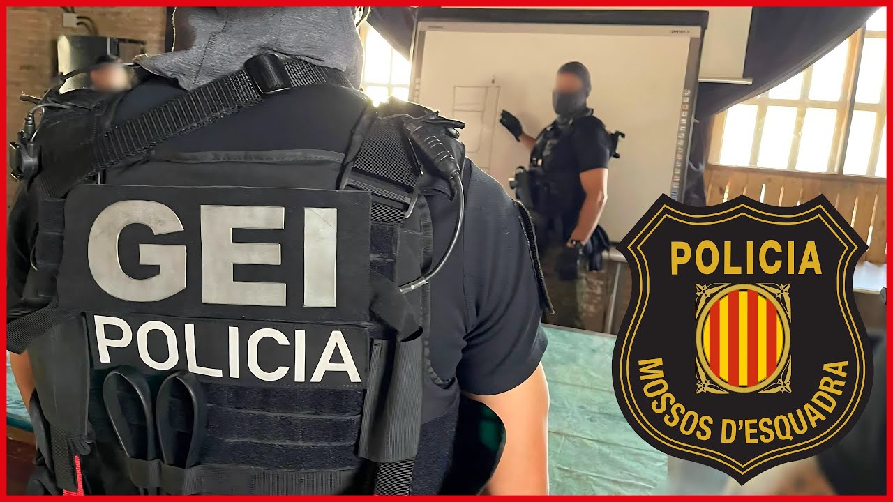 GEI Mossos d'Esquadra 🚔 Qué es y cuáles son sus funciones