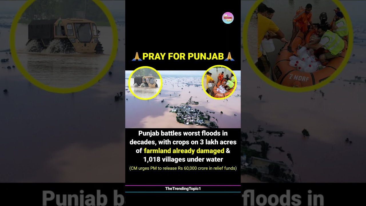 Punjab battles worst floods in decades; 1,018 Villages submerged across 9 Districts