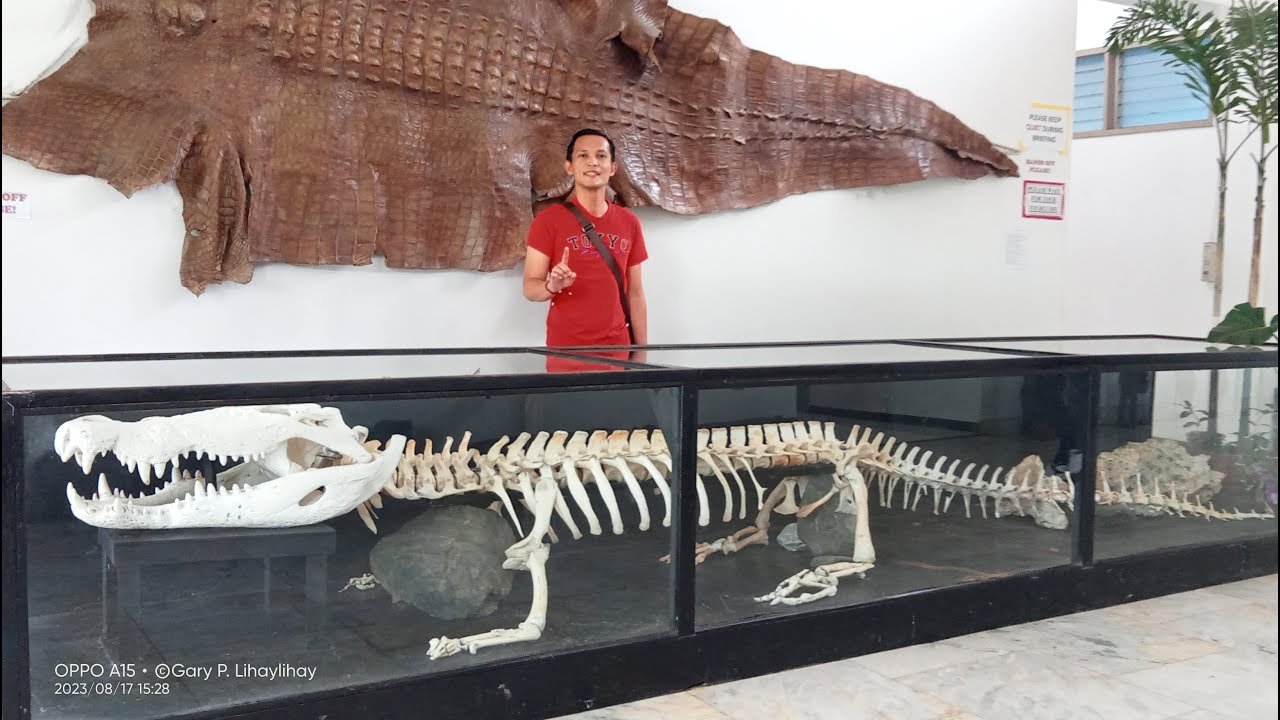 Puerto Princesa City Tour - Palawan Wildlife Rescue & Conservation Center (PWRCC)