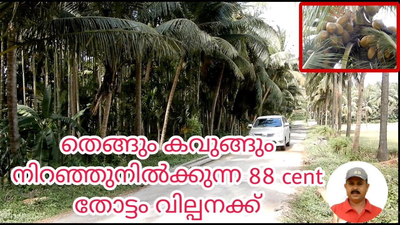 #farm #land #for #sale