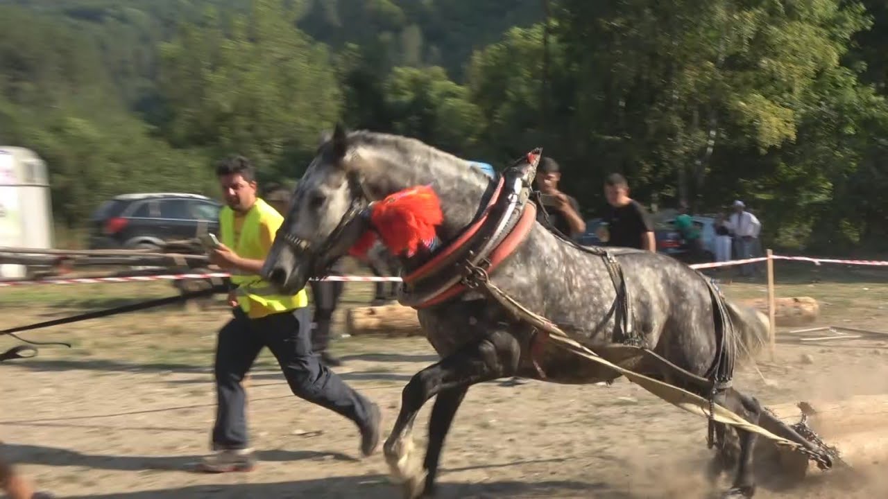 ВИДЕО РЕПОРТАЖА: ПРАЗНИЧНА ШТРАПАРИЈАДА ВО БЕРОВО (27.08.2023)