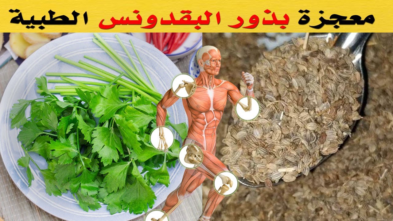 فوائد بذور البقدونس وأوراقه 14 فائدة مذهلة للجسم