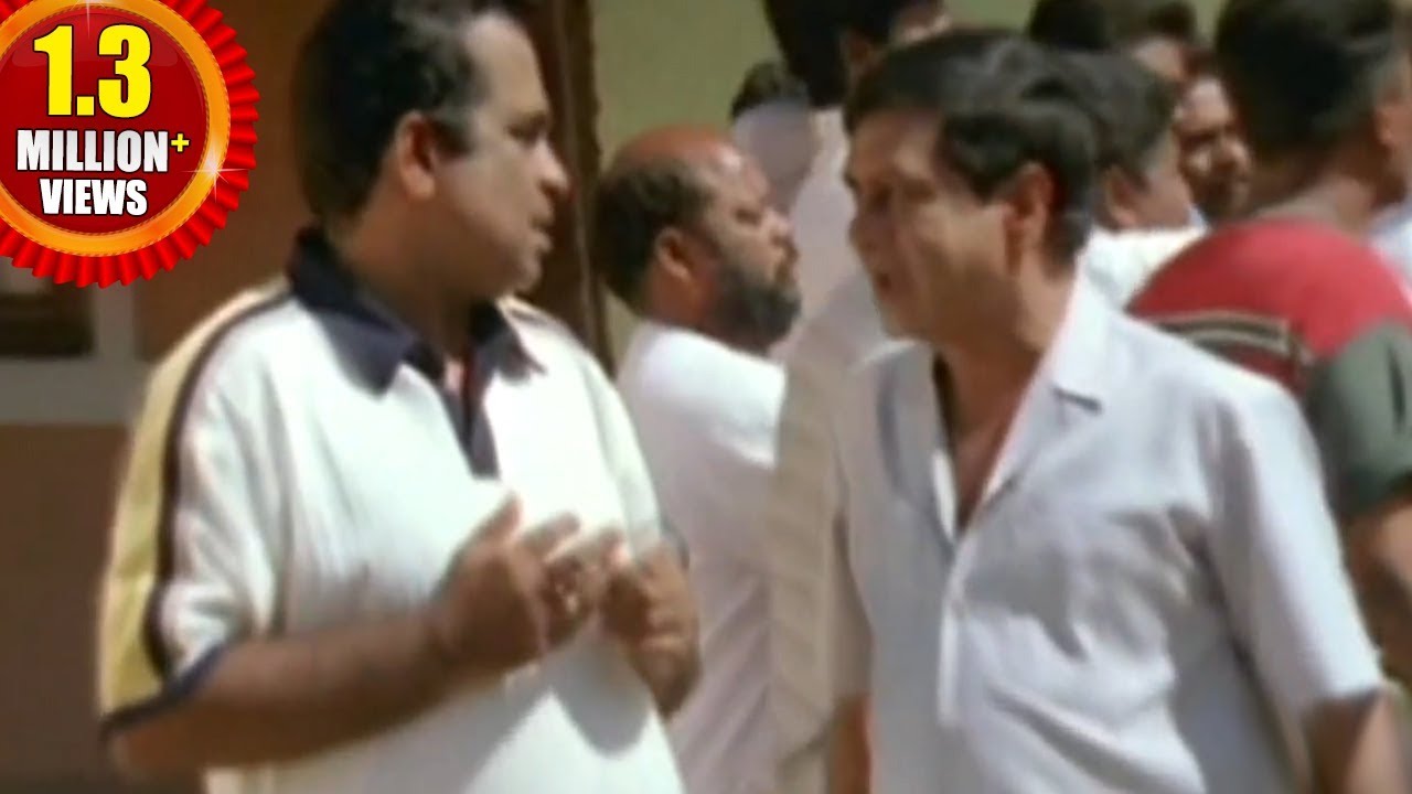 Subbu Telugu Movie || Bramhanandam & AVS Hilarious Comedy Scene || NTR Jr, Sonali Joshi