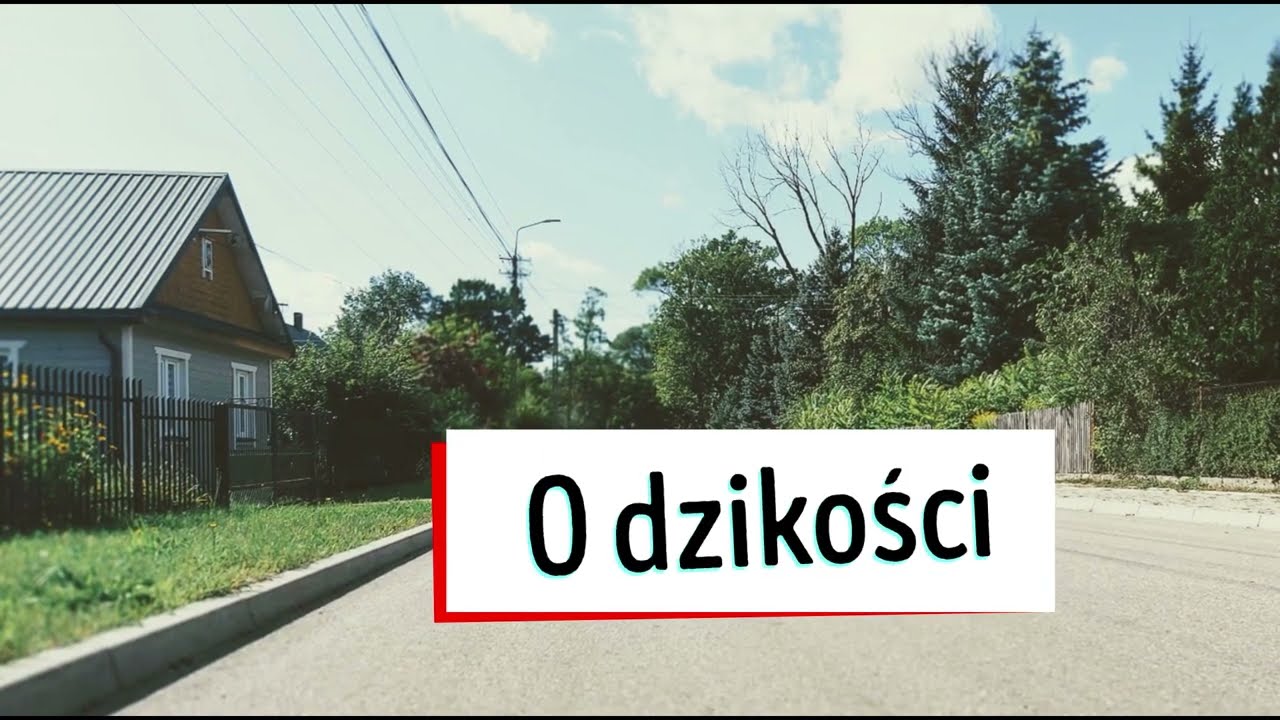 O, dzikości. Białowieża.