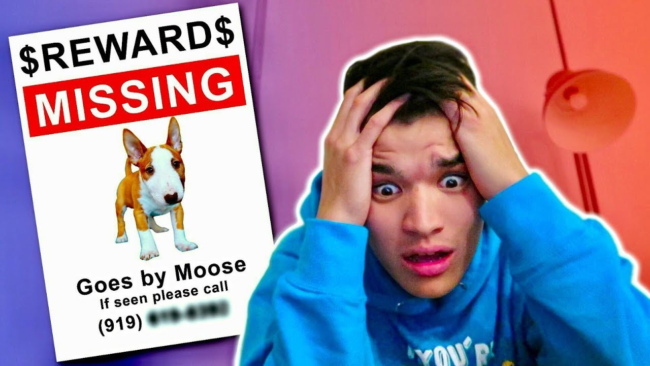 Lost My GIRLFRIENDS DOG!