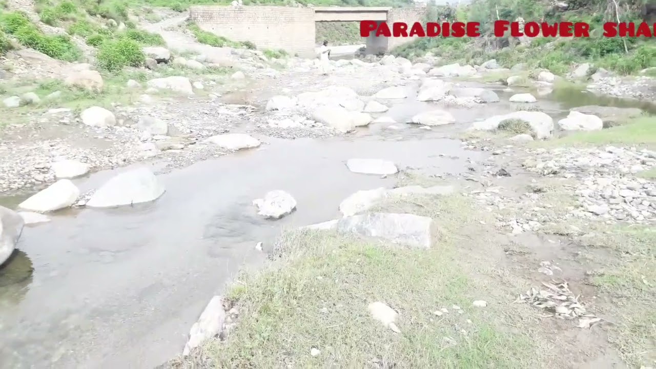 Beauti of kot valley- kot Manzary gul baba