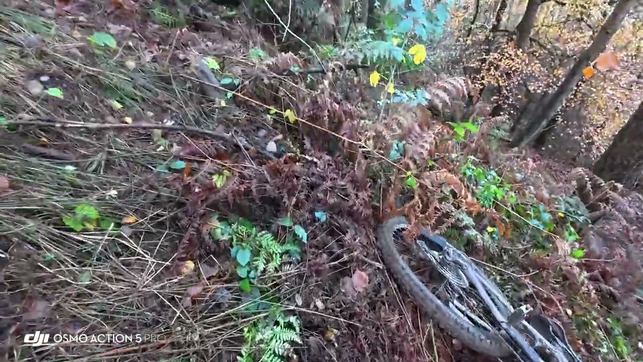 Welsh steeps and a fail