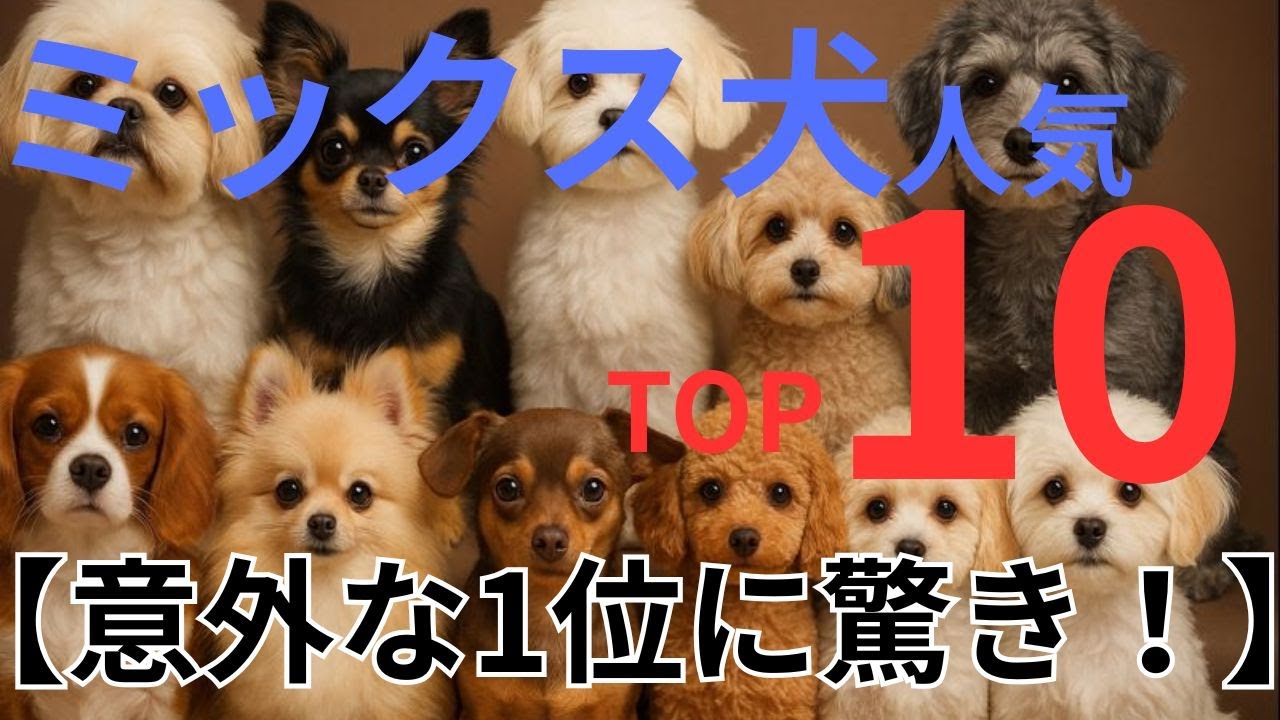 【2025年最新版】ミックス犬人気ランキングTOP10｜1位は意外すぎた&hellip;