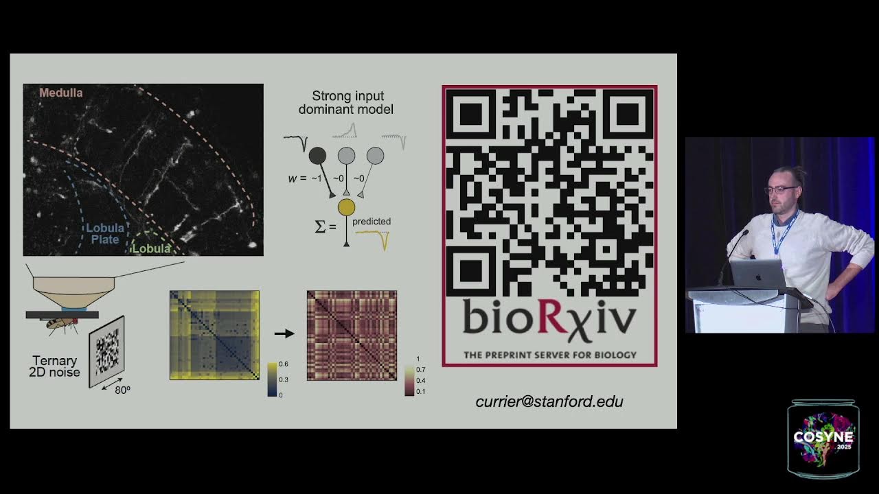 Cosyne 2025 - Session 11: From structure to function
