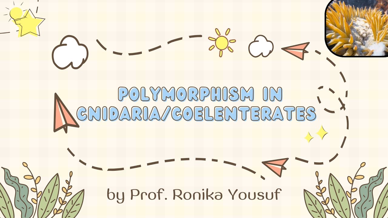 Polymorphism In Cnidaria/Coelenterates