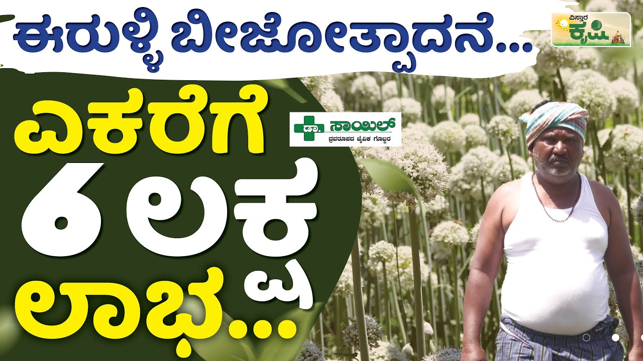 ಈರುಳ್ಳಿ ಬೀಜೋತ್ಪಾದನೆ… ಎಕರೆಗೆ 6 ಲಕ್ಷ ಲಾಭ…| Vistara Krishi | Onion Seeds Production