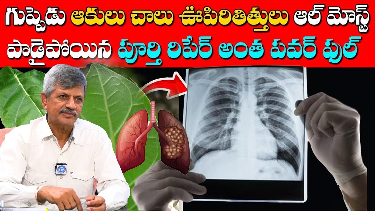 ఊపిరితిత్తులను పదిరెట్లు ఆరోగ్యంగా ఉంచే ఆకు | Best Tips to Clean your Lungs | Dr AnjaneyaRaju