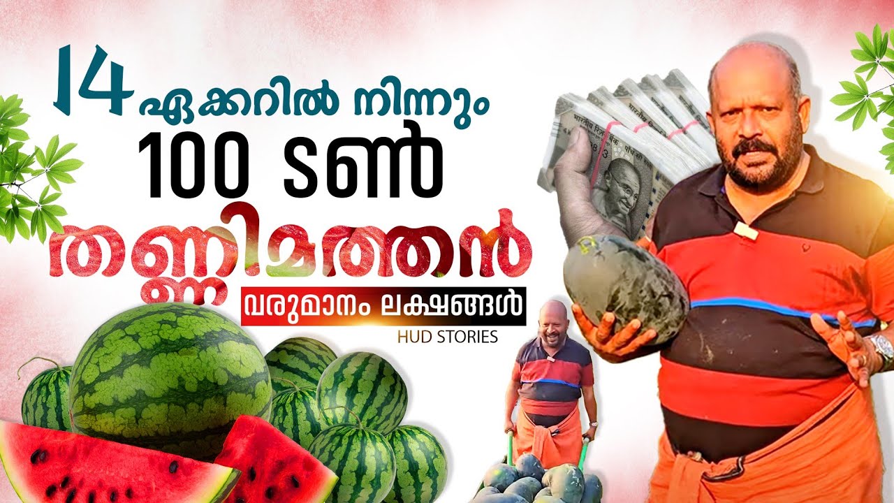 14ഏക്കറിൽ 100 ടൺ തണ്ണിമത്തൻ, ഈ ചൂടുകാലത്ത് ലക്ഷങ്ങൾ വരുമാനം  | VS Sunilkumar | Watermelon Farm