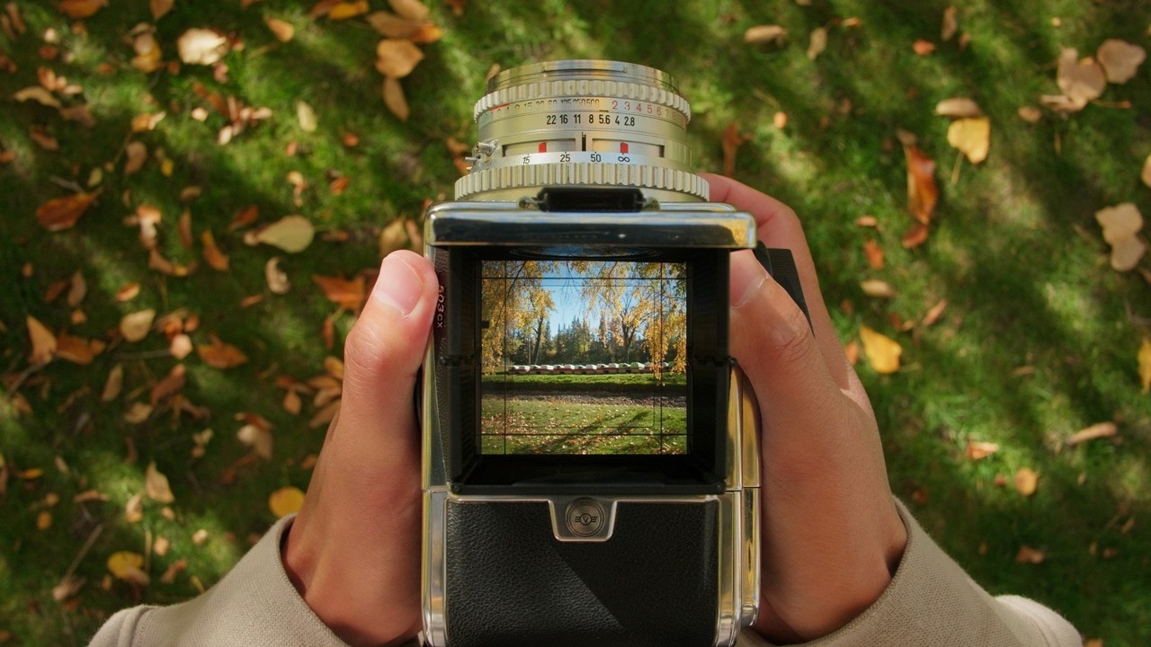 The Medium Format Experience | POV Hasselblad Film Photography