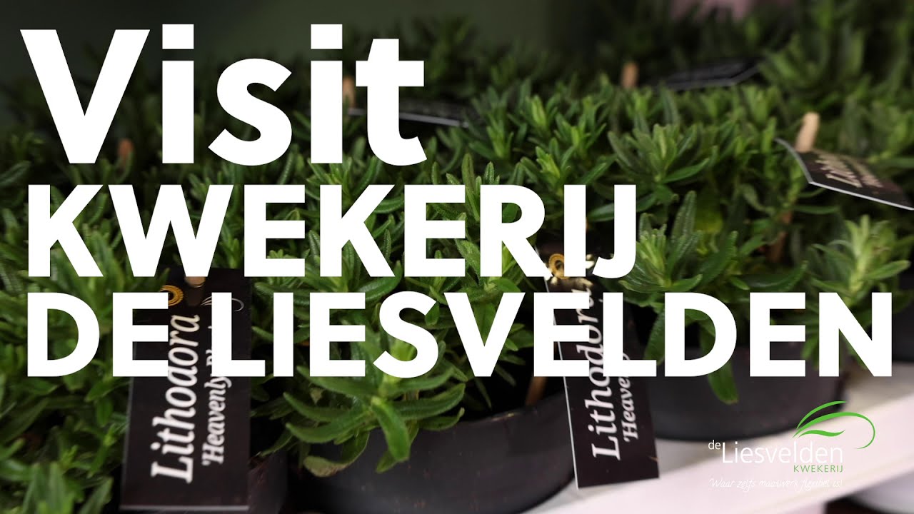 Vistit Kwekereij de Liesvelden at the Social Trade Fair 2021