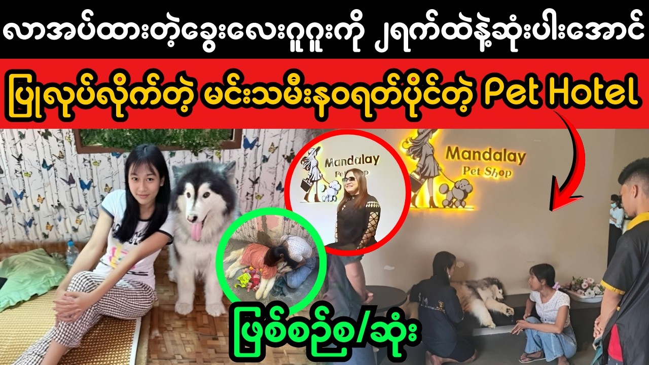Mandalay Pet Hotel ဖြစ်စဉ်အပေါ် စုံစမ်းဆန်းစစ်ချက် | Animal Welfare & Responsibility Explained