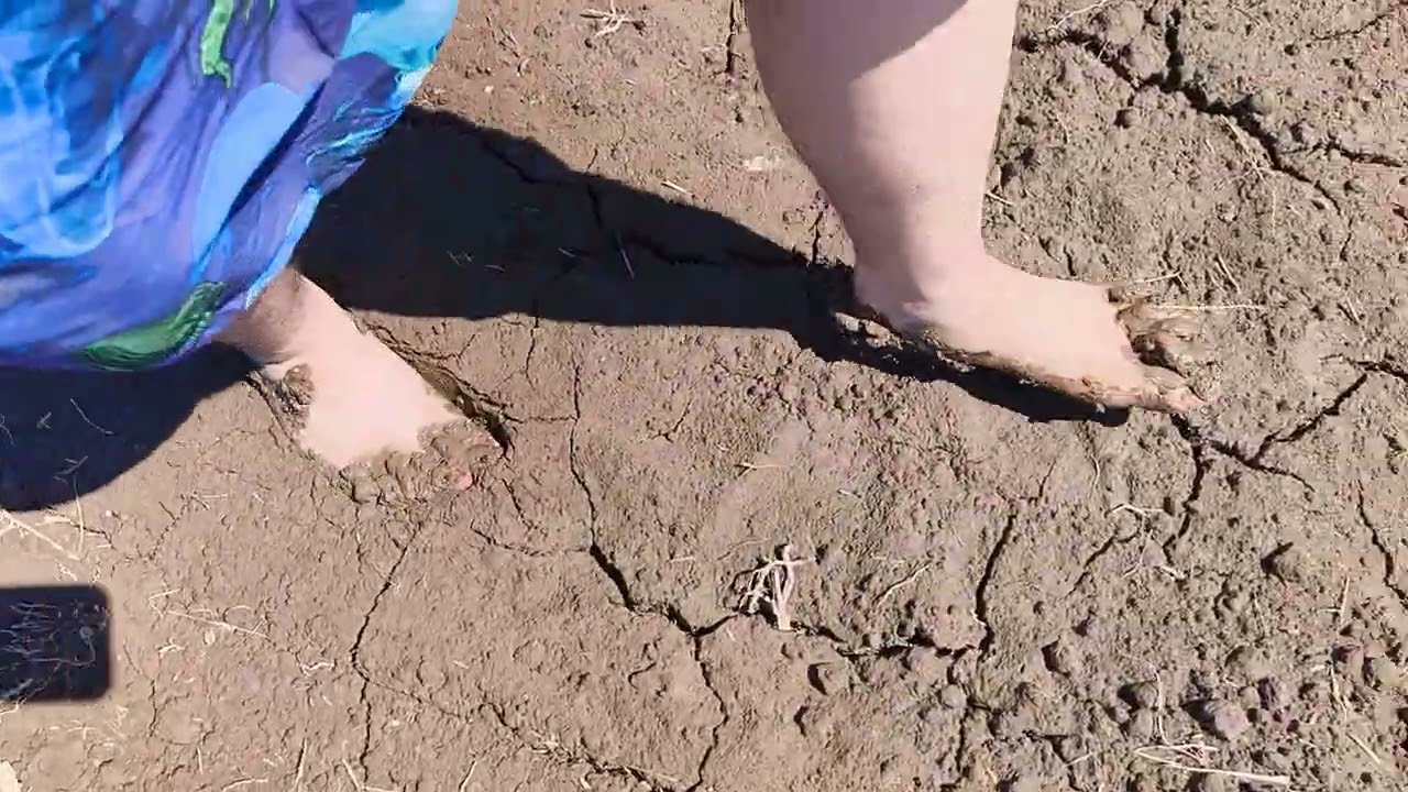Barefoot in Mud (2025-05-21 14-11-57)