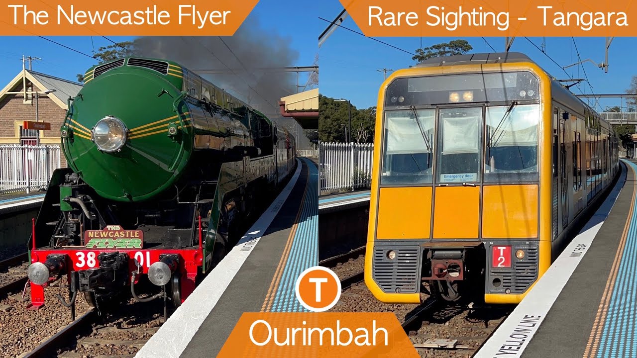 Transport for Sydney Vlog 661: Ourimbah Part 2 - Featuring The Newcastle Flyer + A Rare Sighting