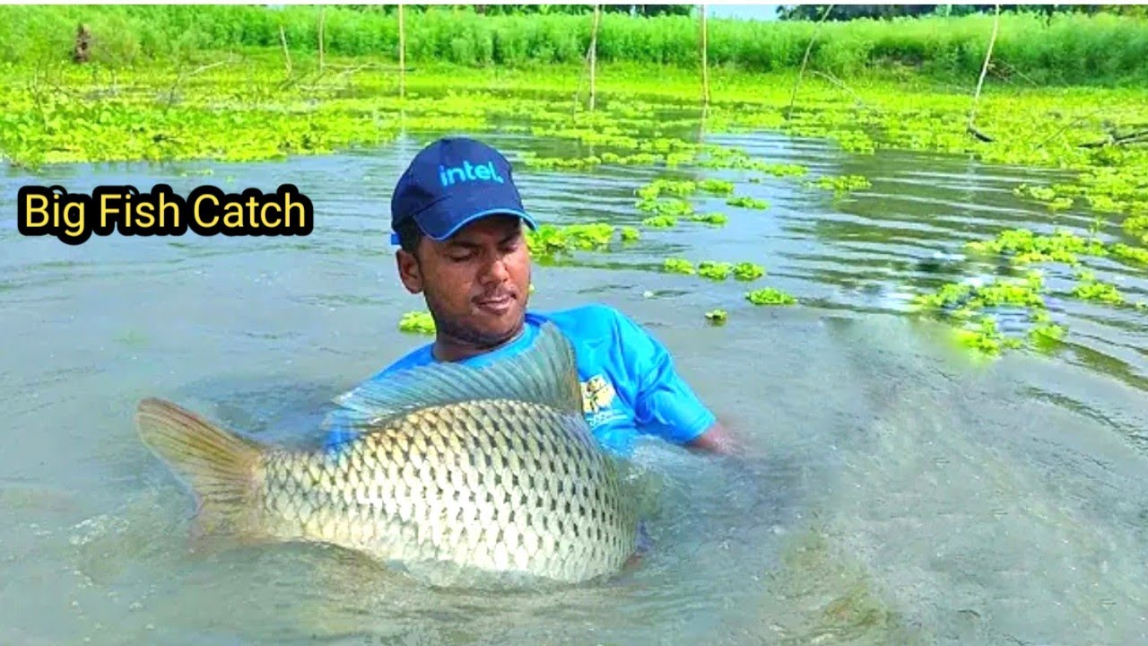 Most Satisfying Cast Net Fishing Video -  Catch Monster Fish.