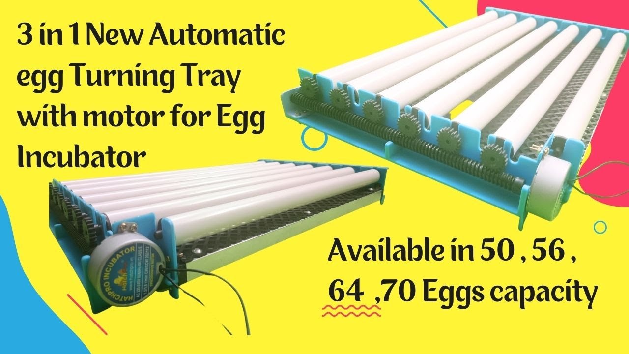 3 In 1 New Automatic Egg Turning Tray with motor | 64 egg incubator | auto egg turner tray 2023