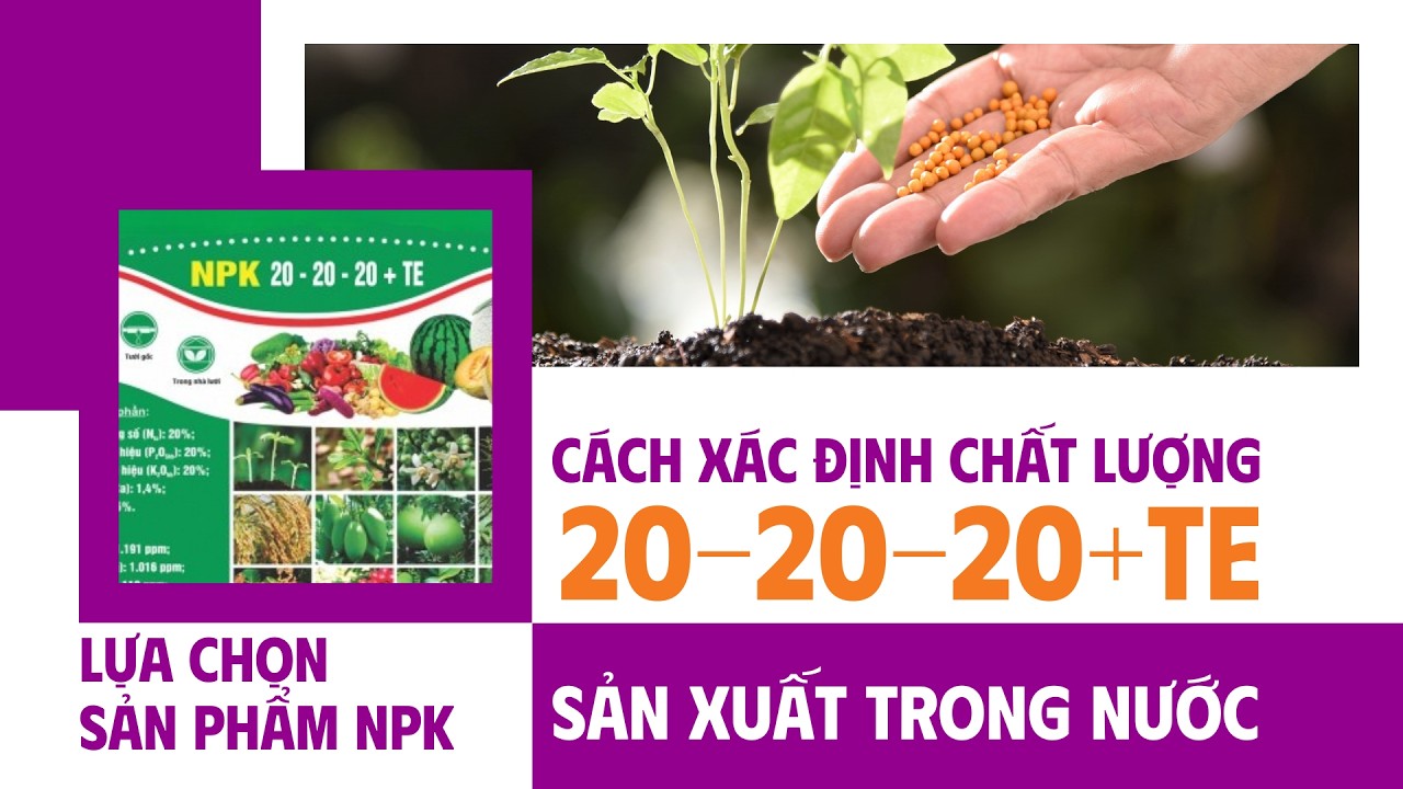 Cách Xác Định Chất Lượng 20 20 20 + TE Sản Xuất Trong Nước | Lựa Chọn Sản Phẩm NPK