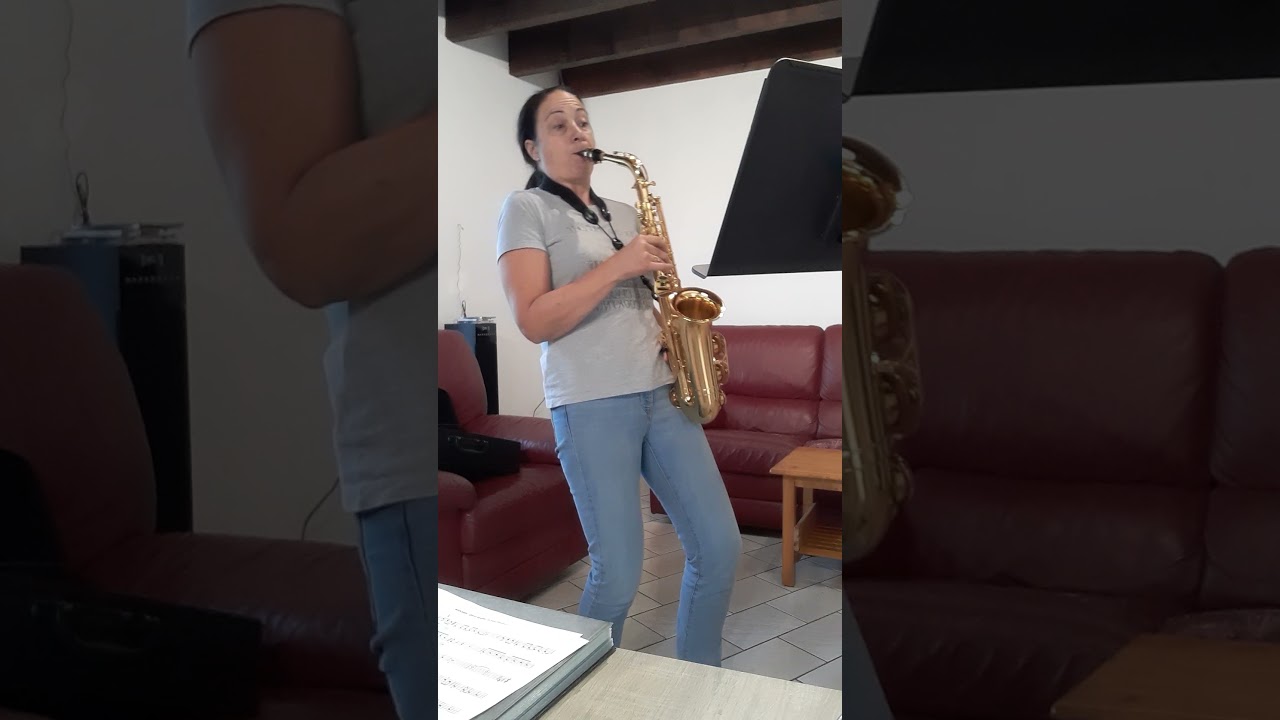 Material Girl by Madonna. ALTO Saxophone