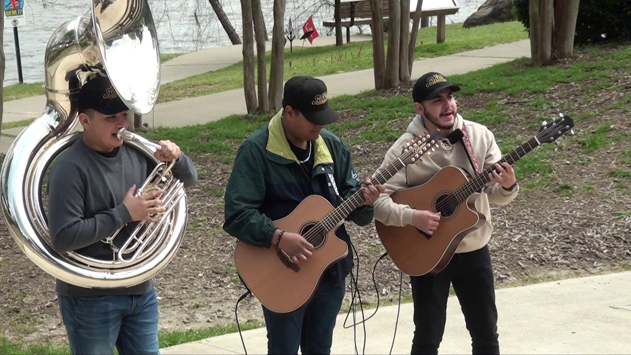 Mujer Paseada (COVER)