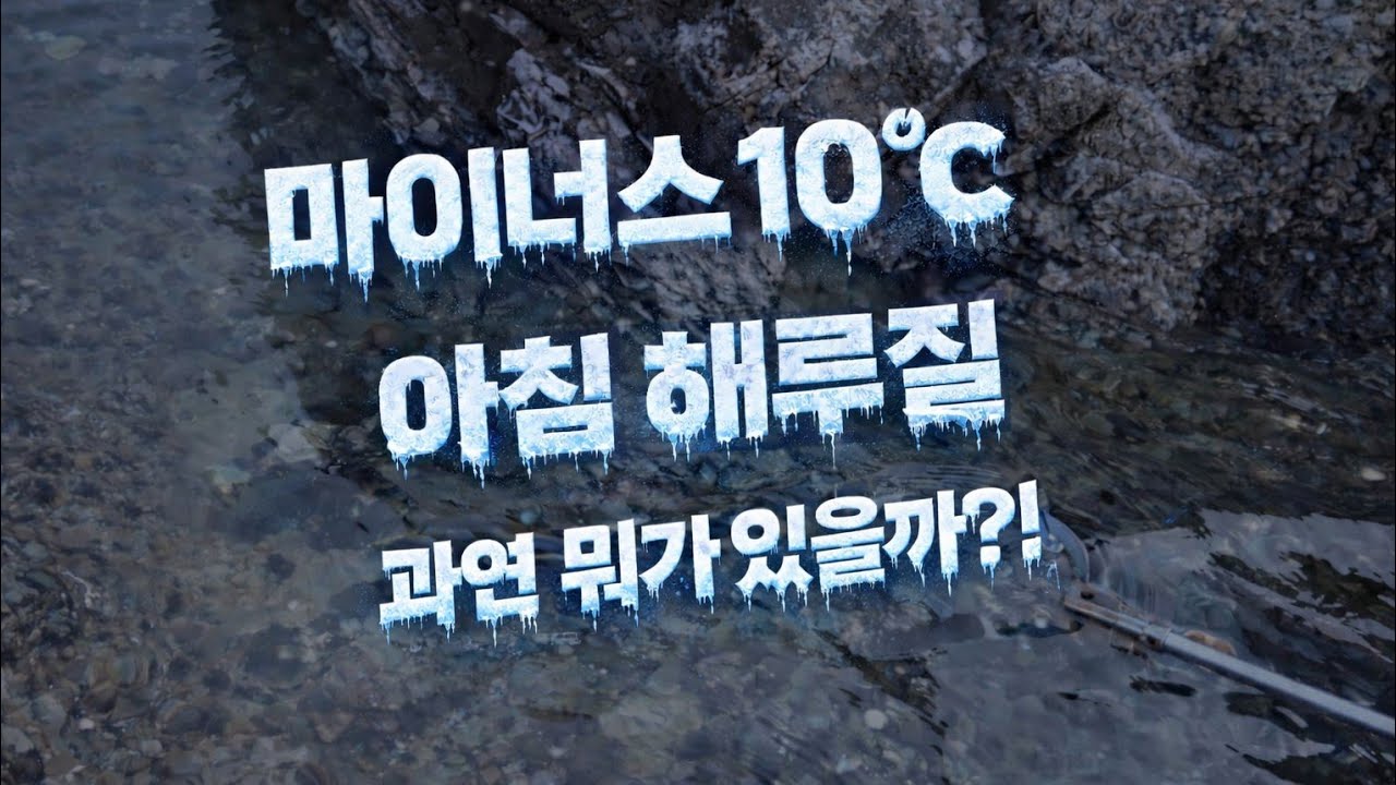 마이너스 10℃, 완전히 꽁꽁 얼어붙은 바다… 그 안에 숨은 녀석들은?!