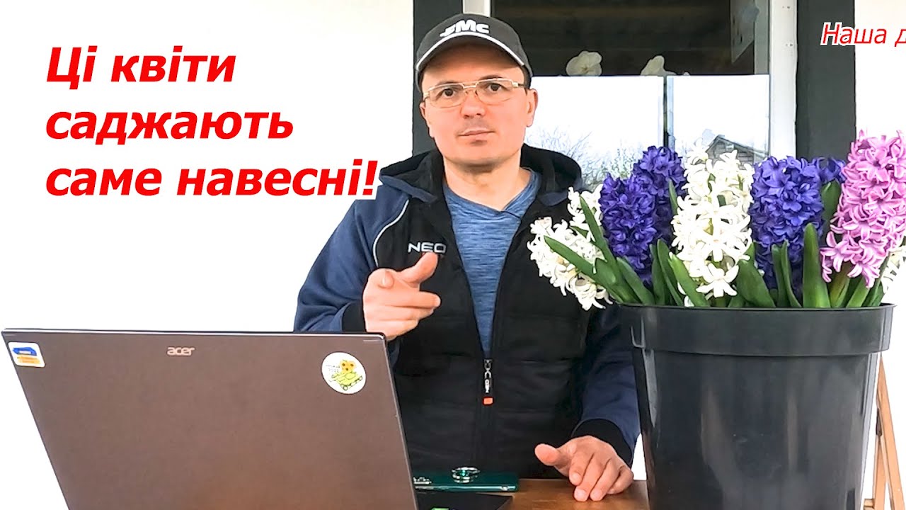 ТОП 5 цибулинних квітів, які треба саджати навесні!