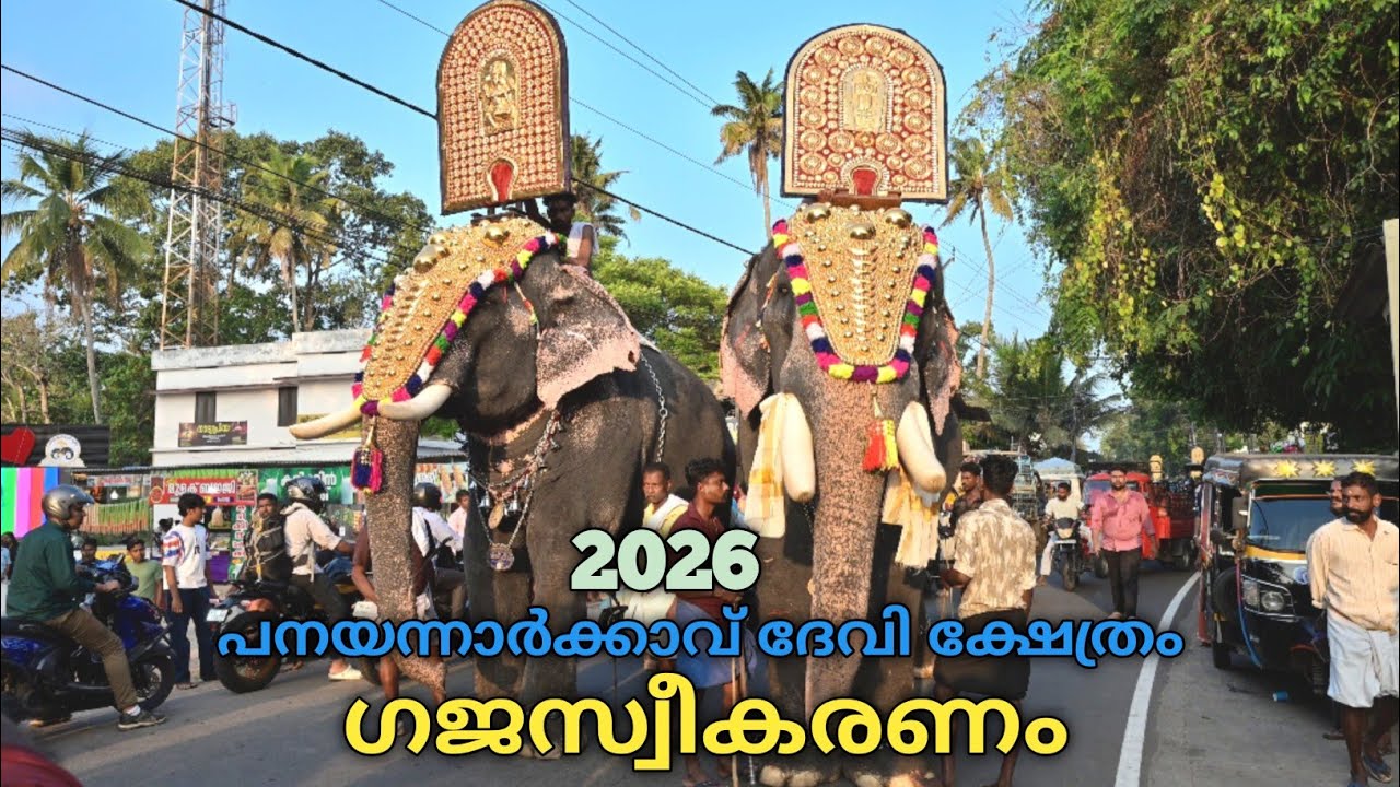 ഗജസ്വീകരണം | Panayannarkkav Devi temple Vadakkumthala Karunagappalli | Gajasweekaranam 