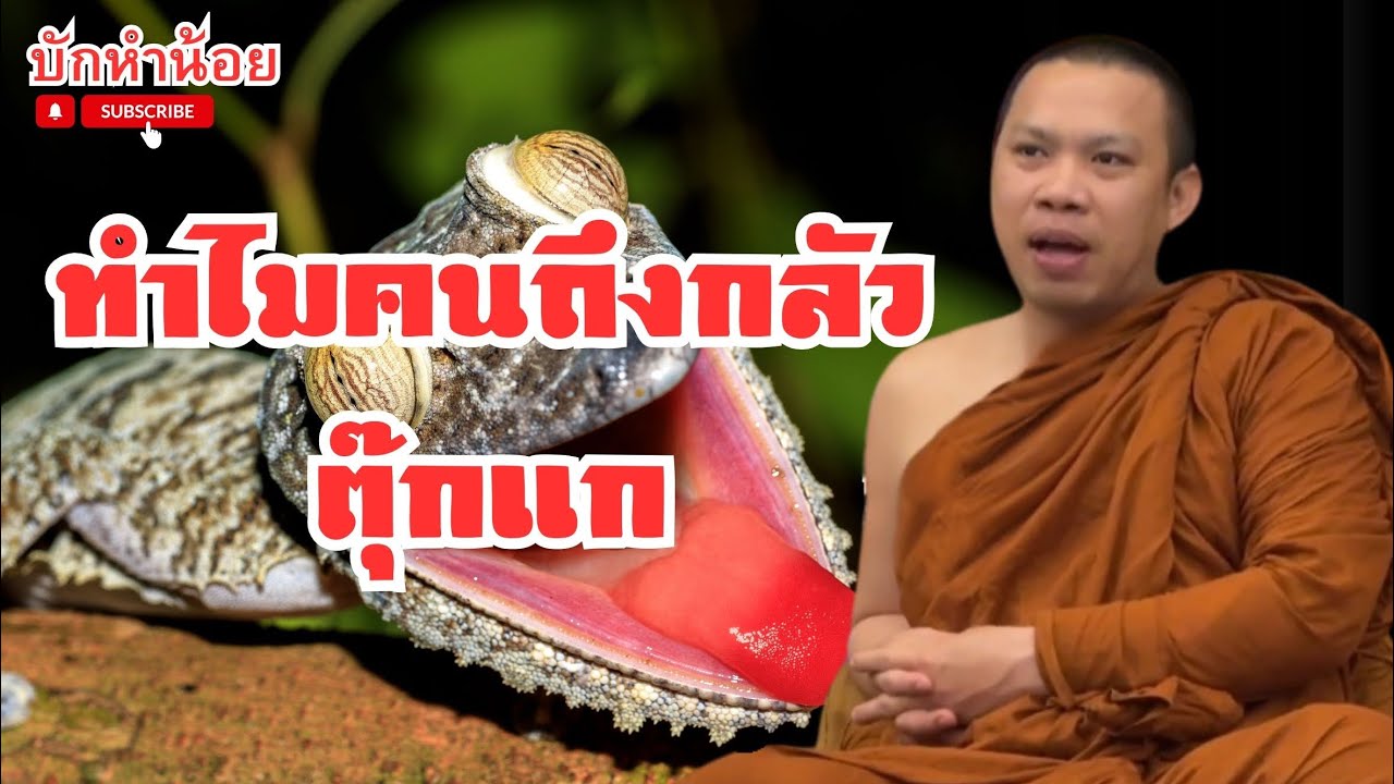 ทำไมคนถึงกลัวตุ๊กแก ครูบาฉ่ายสนทนาธรรม 1ทุ่ม 15/3/2569 #พระสิ้นคิด #อานาปานสติ #โรงปั้นพระอุดร