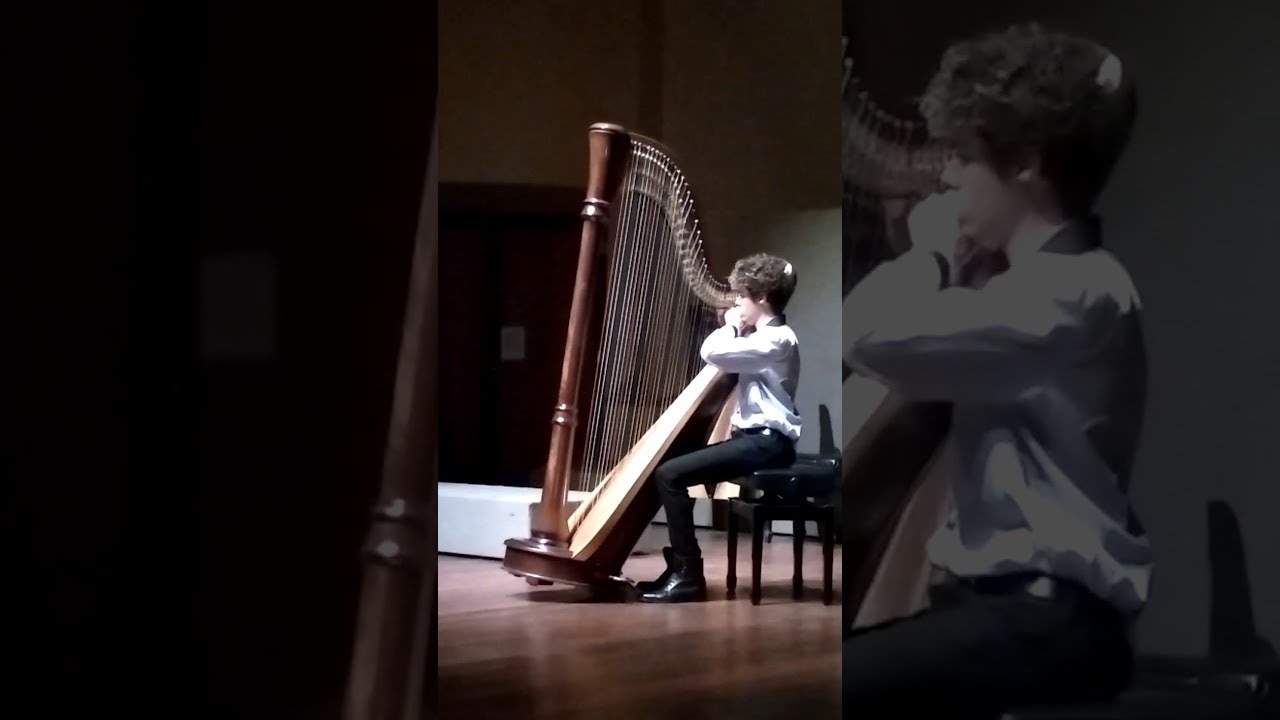 Moonlight - Susann McDonald / Marcos Gannam - Anjo Azul, Harp