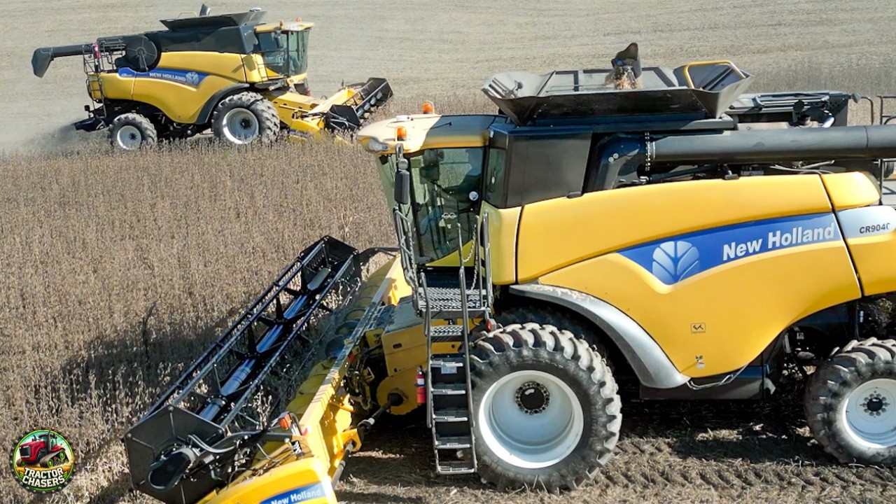 Two New Holland Combines Harvesting Soybeans