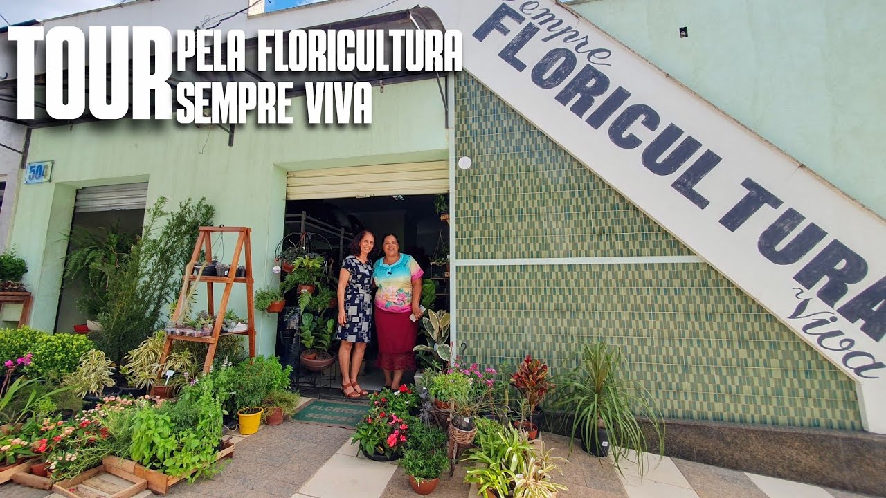 TOUR PELA FLORICULTURA SEMPRE VIVA: A FLORICULTURA MAIS ANTIGA DA MINHA CIDADE, NANUQUE/MG